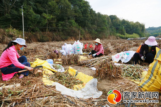 菲彩国际·(中国区)有限公司官网