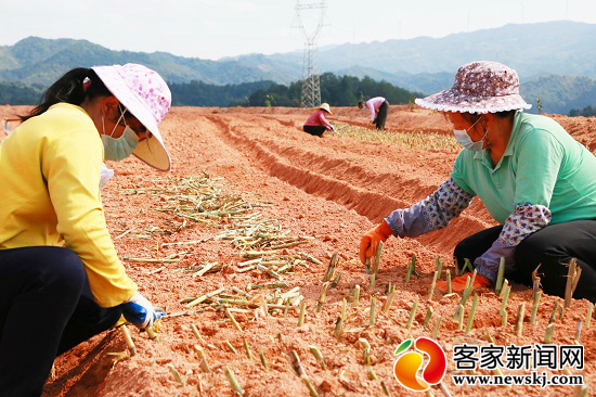 菲彩国际·(中国区)有限公司官网