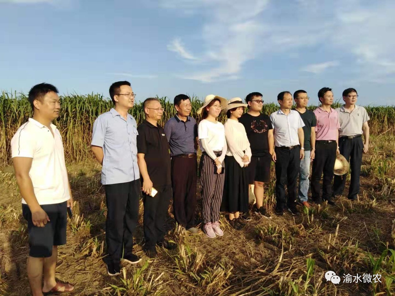 菲彩国际·(中国区)有限公司官网