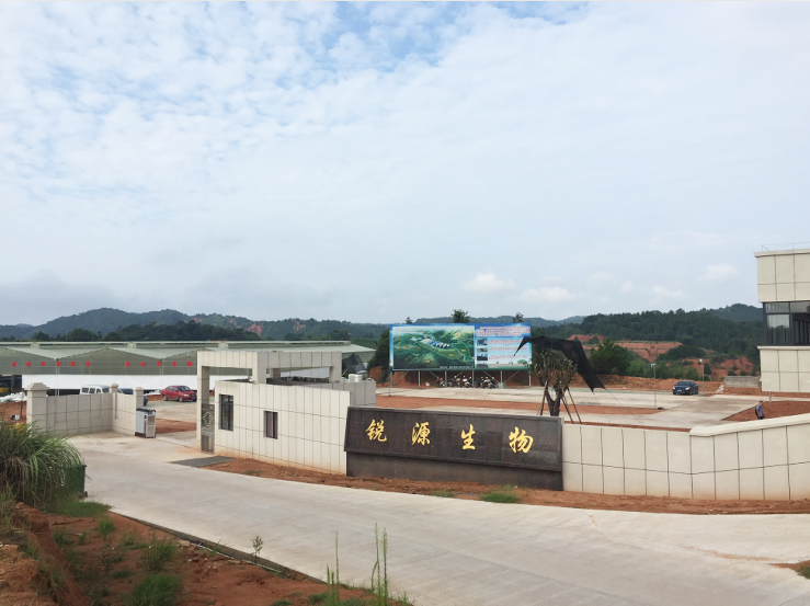 菲彩国际·(中国区)有限公司官网